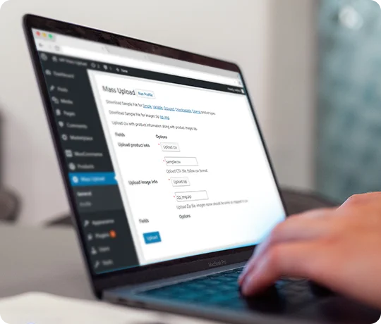Bulk product assignment using CSV file 1